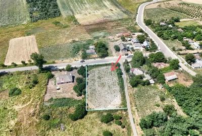 Teren intravilan 1726mp in Soroceni Unteni / DJ 29 - 1