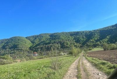 Teren de 5400 mp, în Copalnic - 1