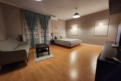 Garsonieră semidecomandată în Doamna Ghica - 3