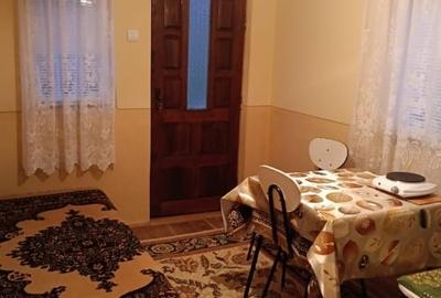 Casa cu teren de vanzare in comuna Botesti, judetul Arges - 4