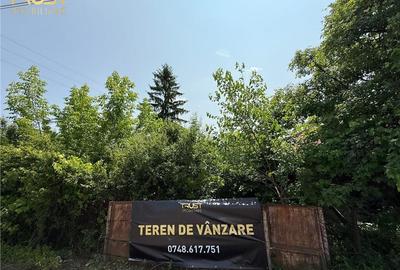 Teren intravilan de 2500 mp, în Reteag - 3