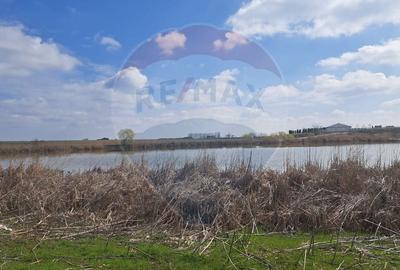 Teren Frumusani DN4 2000 mp + 5000 mp  deschidere Lac Pasarea - 4