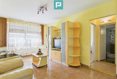 Apartament de inchiriat ultracentral Libelula Arad - 2