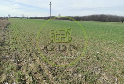 Teren de 21496 mp, în Saca - 8