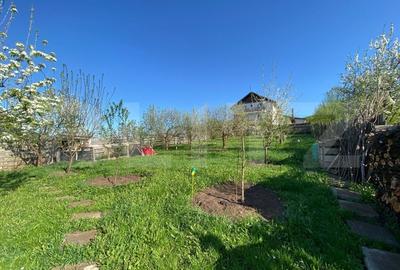 Casa de vanzare in Baciu, Mera - liniste, spatiu si natura la doar 13 km de oras - 5