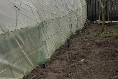 Casă cu 2 camere cu Teren 20000 Mp în Pribești - 2