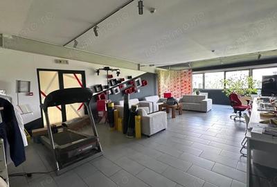 De vanzare Hala parter si etaj-birouri, zona Calea Torontalului - 3