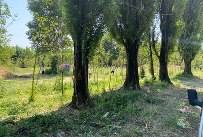 Vânzare teren 3 loturi pe Intrarea Serelor / Vitan barzesti / sector 4 - 5