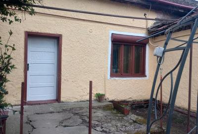 Casă cu 3 camere în Șega - 2