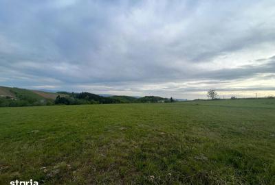 Teren de 11290 mp, în Meseșenii de Jos - 1