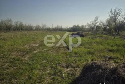 Teren în Albota - 1