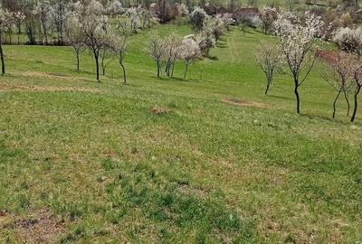 Teren de 2800 mp, în Ormindea - 5
