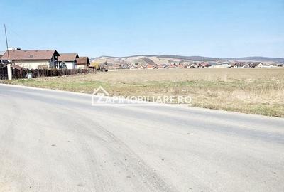 Teren 27.000 mp.deschidere la 2 drumuri ,75 euro mp. - 3
