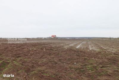 Teren de 4000 mp, în Central - 4