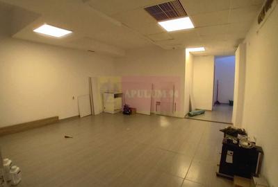 Demisol 106 mp utili – ideal birouri, depozitare sau servicii , Sect 5 - 1