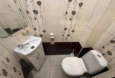 Apartament cu 1 camera in zona Mehala - 9