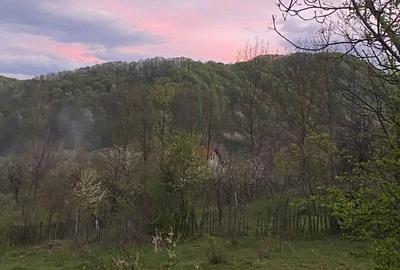 Teren de 2252 mp, în Vișinești - 1