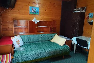 Casă individuală cu 5 camere cu Teren 3800 Mp în Furtunești - 12