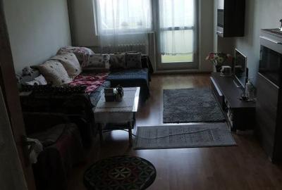 Apartament cu 2 camere semidecomandat în Șura Mare - 2