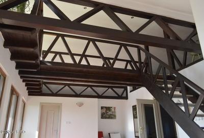 Topoloveni - Conacul Ion Mihalache, Domeniu pe 5 Hectare - 35