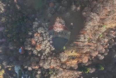 Teren în Schei - 11