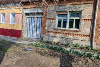 Casa de vanzare in Sat Macoviste com Cuchici - 1