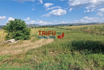 Teren de 5900 mp, în Bărăbanț