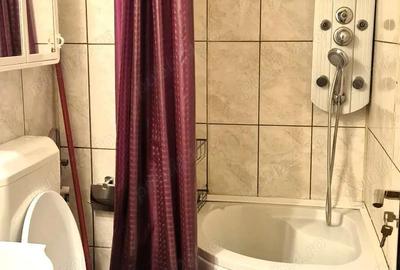 Inchiriere garsoniera zona Costin Georgian, mobilata, utilata, langa metrou - 3