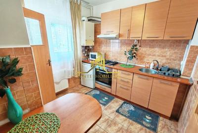 Apartament cu 2 camere semidecomandat, mobilat în Plopilor - 5