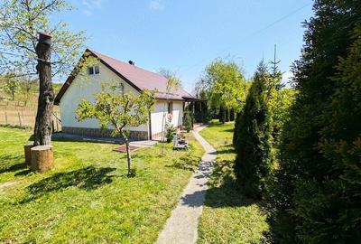 Casă cu 2 camere cu Teren 6500 Mp în Moșna - 4