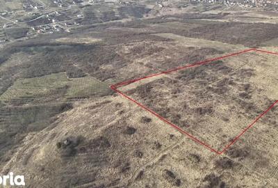 Teren de 26587 mp, în Iorga - 3