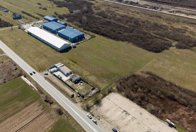 Teren agricol extravilan de 7194 mp, în Păltiniș - 8