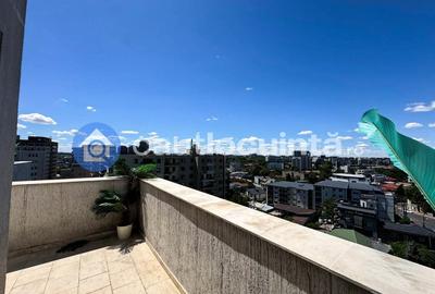 Penthouse Terasa 58mp Timpuri Noi Mihai Bravu Metrou Vitan Mall LUX - 19