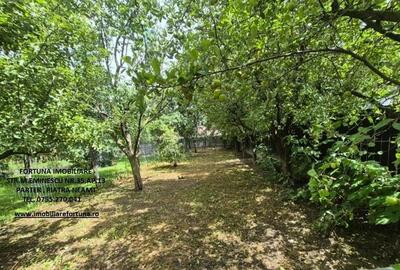 Proprietate D-va Rosie, pretabila pentru activitati economice/locuit - 19