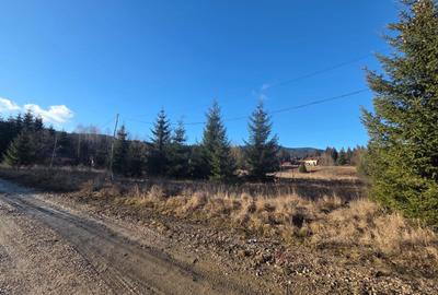 Spațiu comercial, în Central