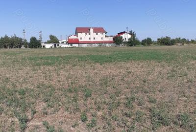Teren de 4000 mp, în Căldărușeanca - 6