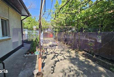 Casă cu 2 camere cu Canalizare în Chitila - 5