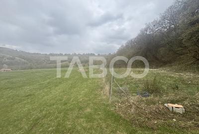 Teren de vanzare cu deschidere la padure 15600 mp in Hamba Sibiu - 4