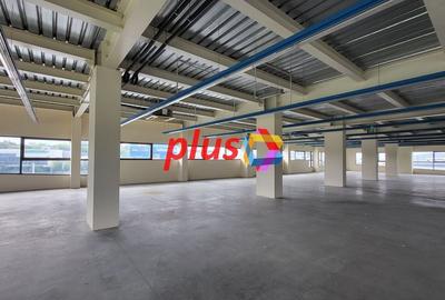 Spatiu - 600 mp #plus-imo.ro - 6