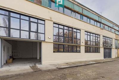 Hala industriala de 295 mp in Arad - 9