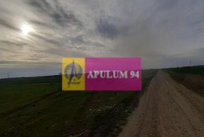 Teren de 369 mp, în 1 Decembrie - 7