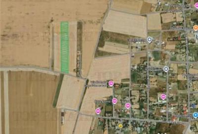 Teren de 5000 mp, în Vadu - 4