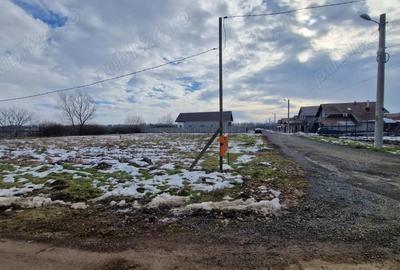 Proprietar - Teren intravilan Ghiroda str. Muntenia 661 mp - 2