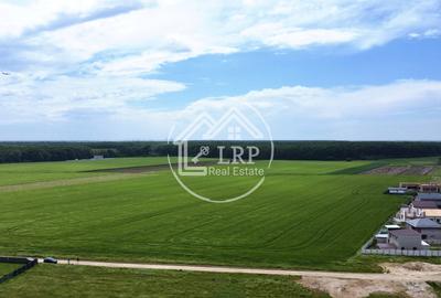 Teren Construcții intravilan de 25000 mp, în Dascălu - 4