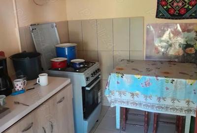 Casă cu 3 camere cu Teren 1600 Mp în Zau de Câmpie - 8