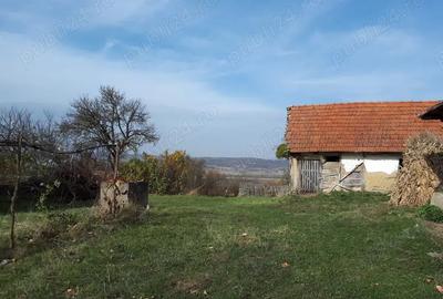 Vand case ?i terenuri la tara - 1