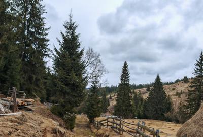 7858 mp TEREN SUPERB CU PARAU SI IZVOARE, BELIS - FANTANELE, Cluj - Transilvania - 14