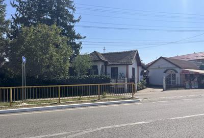 Casă individuală cu 4 camere cu Teren 4379 Mp în Giubega - 4