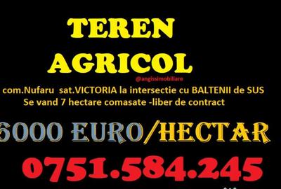 Teren de 70000 mp, în Nufăru - 3