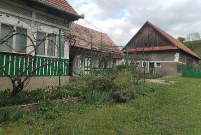 Casă cu 3 camere cu Teren 3400 Mp în Viștea - 5
